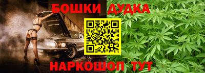 spice Обнинск
