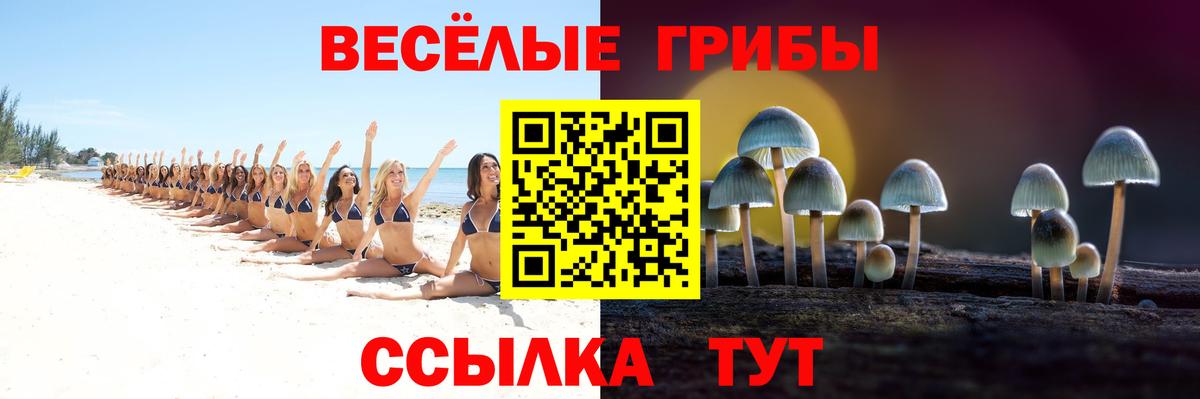 Псилоцибиновые грибы Cubensis Ступино